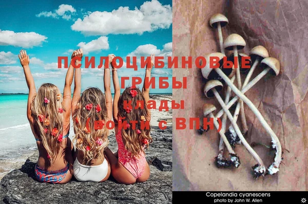 молекула духа Красноперекопск