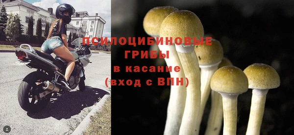 метадон Краснослободск