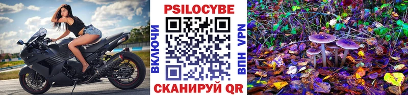 Галлюциногенные грибы GOLDEN TEACHER Купить закладки Могоча